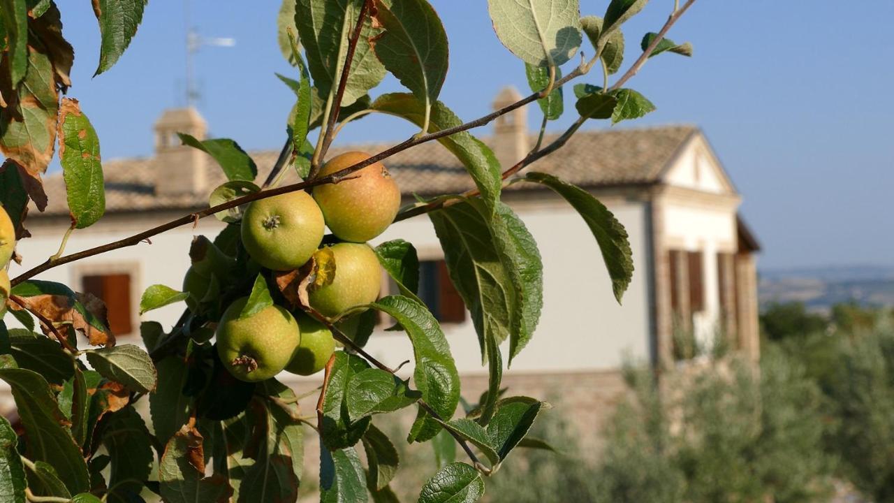 Residence Colle Veroni Mosciano SantʼAngelo Exterior foto